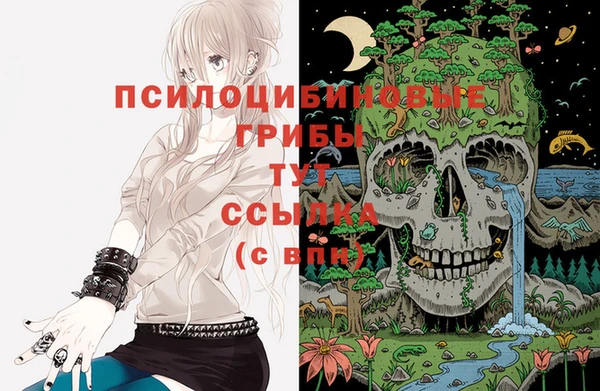 COCAINE Верея