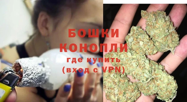 spice Сосновый Бор
