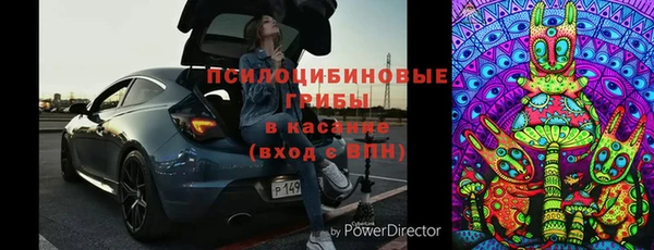 mix Бородино