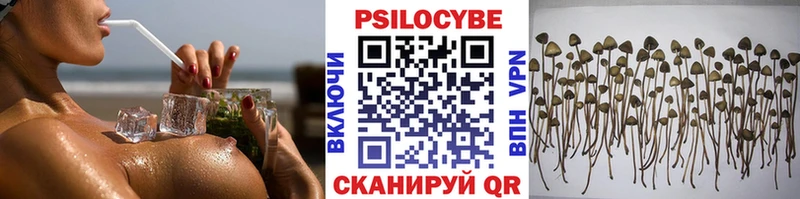 Галлюциногенные грибы мицелий  как найти закладки  Семёнов 